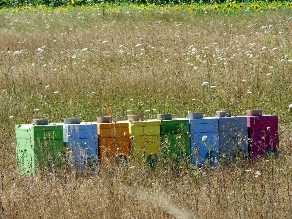 painting hives