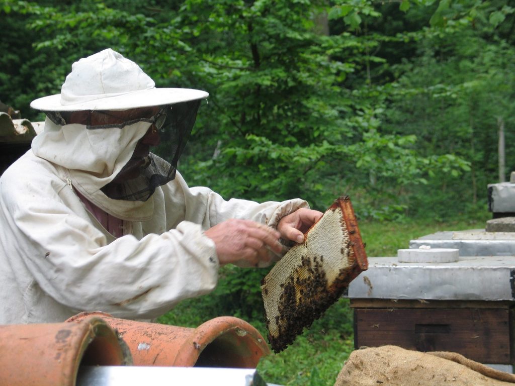time beekeeping take