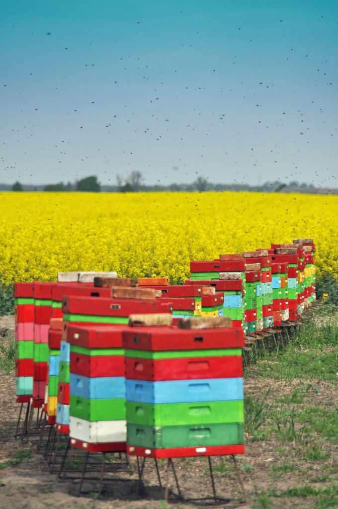 summer beehive ventilation