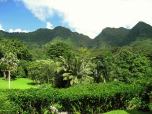 Hawaii ban pesticide