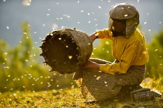 Half for them, half for me”- The Last Woman in Europe Working as a